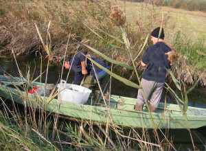 image16 La Barena